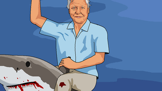 And Now, David Attenborugh Astride a Hungry, Hurdling, Bipedal Shark
